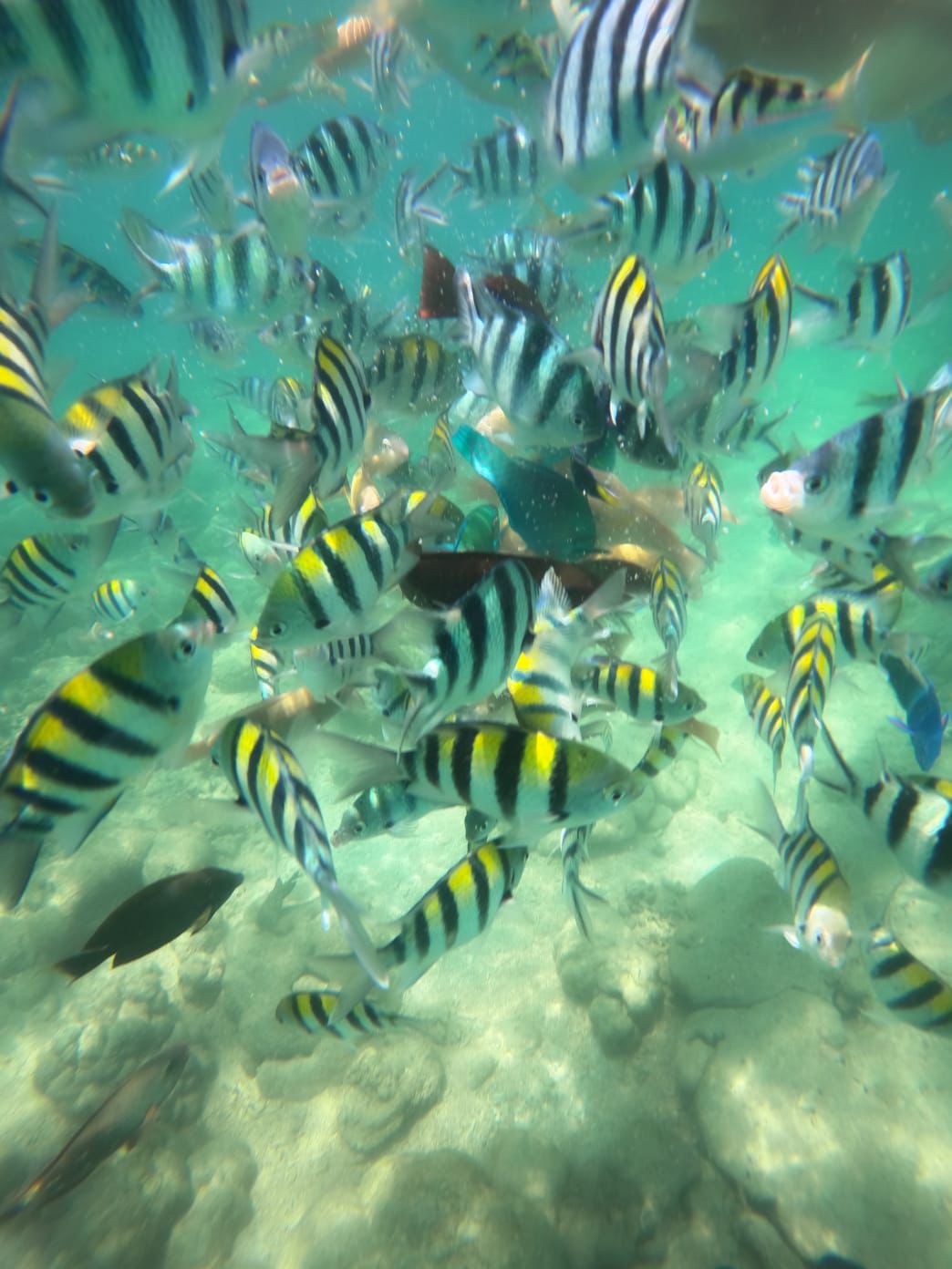 Secret Gili Snorkeling Tour – Gili Nanggu, Gili Kedis & Gili Tangkong